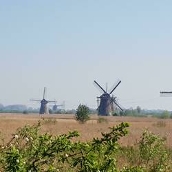 Kinderdijk - Poldermühlen