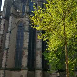 Utrechter Dom