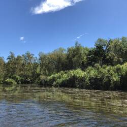 Yellow Water; Kakadu National Park