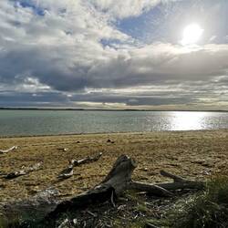 Moray Terrace Reserve Campsite