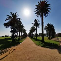 Palmen, Strand und Sonne - Perfekt