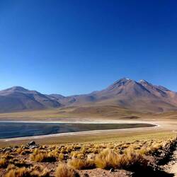 Laguna Miscanti
