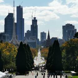Blick auf das Stadtzentrum vom Shrine of Remembrance