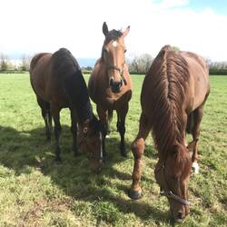 Darf ich das Rechte bitte mitnehmen und behalten 🙈🙈