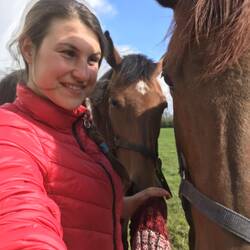 Selfies ohne Selfiekamera und pferden 🙈😂