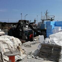 Fischer direkt gegenüber