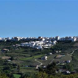 Edle Wohnanlage, eine von Vielen