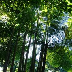 Botanischer Garten