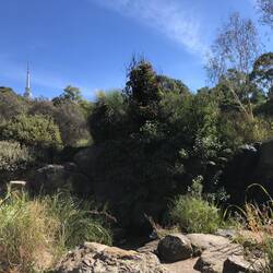 Australian National Botanic Gardens; Canberra