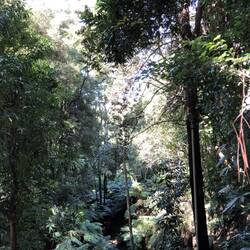 Australian National Botanic Gardens; Canberra