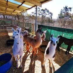 Der Kindergarten (2 Monate alt)