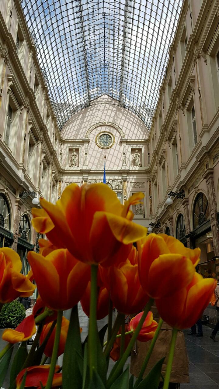 Galeries Royales Saint Hubert