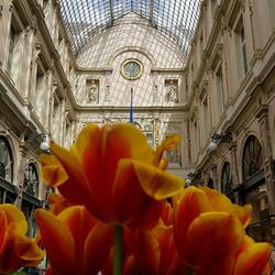 Galeries Royales Saint Hubert