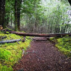 Der Weg ist versperrt.