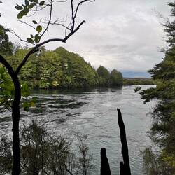 Waiau River aka Anduin