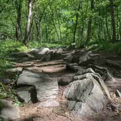 Auf dem Billy Goat Trail war nach unten gucken angesagt!