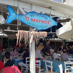 Tintenfische in vollen Tavernen