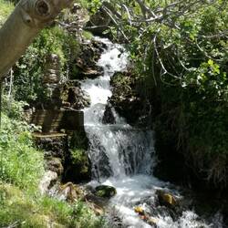 Wasser aus der Theodor-Quelle