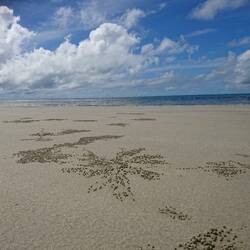 Myall Beach