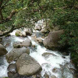 Mossman Gorge