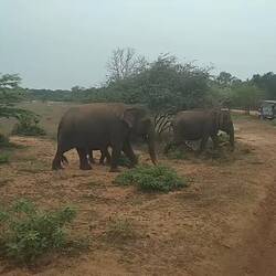 Das war richtig beeindruckend!!