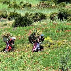 Schwere Last in schöner Umgebung