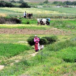 Frauen mit schweren Bündeln