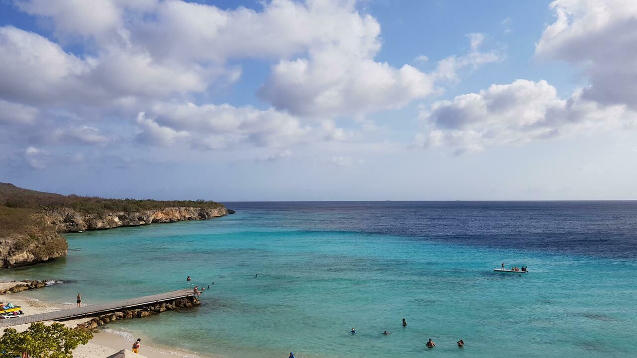 🌴☀️