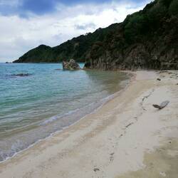 Abel Tasman Nationalpark