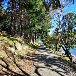 Queenstown Trail