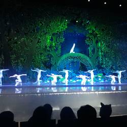 Beautiful dancing.....Matt fell asleep!