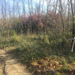 Holzkreuze am Wegesrand