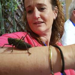 Cricket man let me hold his prize cricket