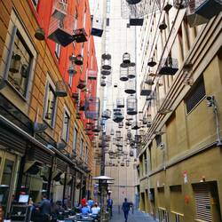 Vogelkäfigen zum Gedenken an Vogelarten, die durch die Stadtentstehung vertrieben wurden