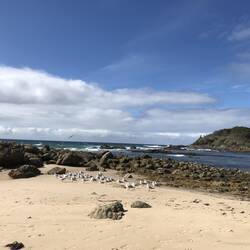 Rocky Beach; Port Macquarie
