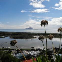 White Island