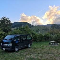 W F Moss Scenic Reserve - Freedom Campsite