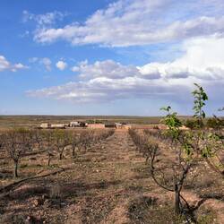 In der Obstplantage hinter dem Camping (auf 1500 m)
