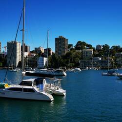 Jede Menge Boote überall im Hafen