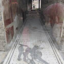 Mosaic reading, "Beware of Dog!"