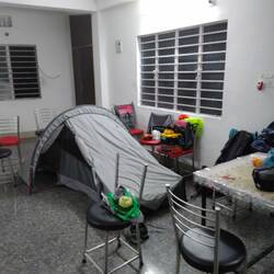 Insect and lizard-proof camp
