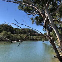 Saltwater Park; Coffs Harbour