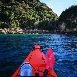 Weiter ging es per Wassertaxi zur Observation Bay. Dort hat uns Anton, unser Kayak Guide erwartet.