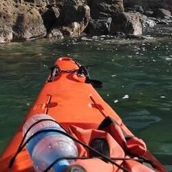 Das absolute Highlight heute!