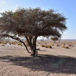 Entlang der Piste Richtung Ouzina, Wasserbehälter für Reisende