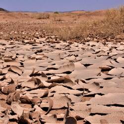 Kurz vor Taouz stand die Wüste vor einigen Tagen unter Wasser
