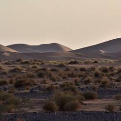 Die Dünen von unserem Übernachtungsplatz gesehen