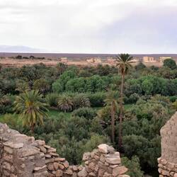 Oase an der Neski Quelle