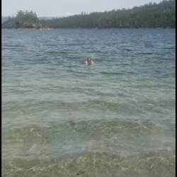 Temperature de l'eau: 10°C / Water temperature: 50°F