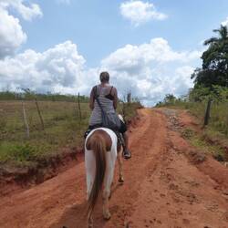 Paardrijden @ Viñales
